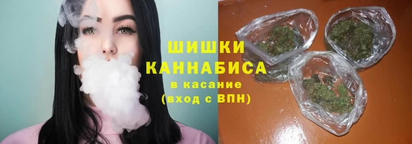прущие крисы Арсеньев