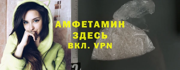 твердый Новодвинск