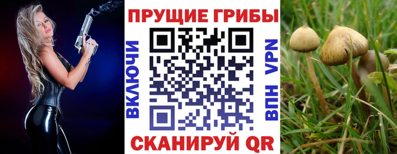 Галлюциногенные грибы Psilocybe  Краснодар 