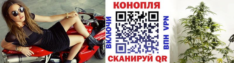 закладки  Краснодар  МАРИХУАНА гибрид 